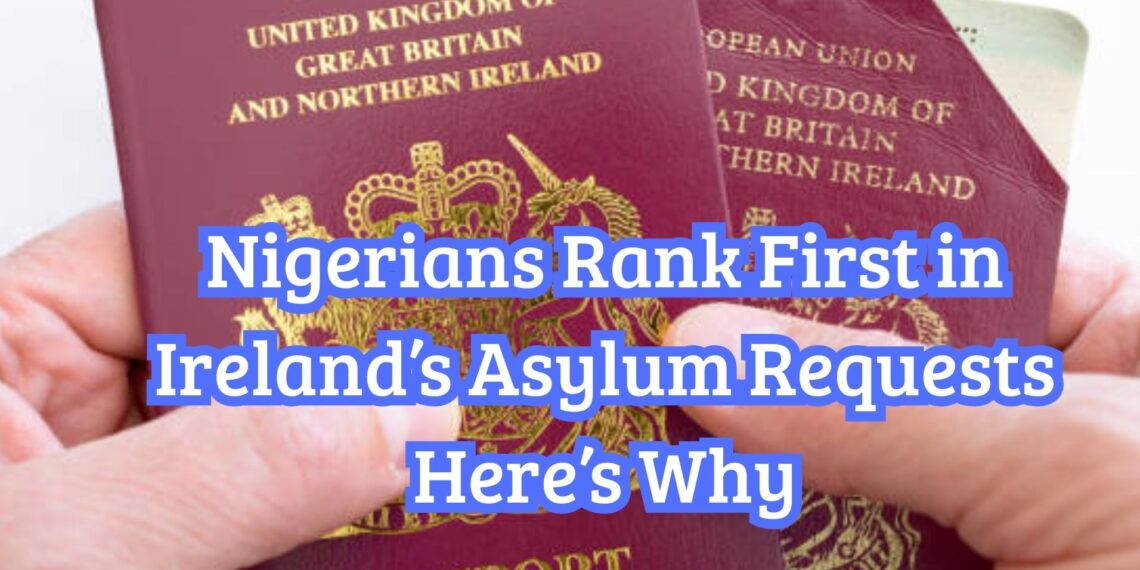 Nigerians Rank First in Ireland’s Asylum Requests Here’s Why
