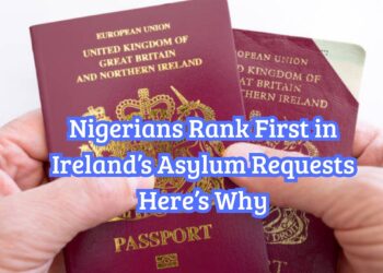 Nigerians Rank First in Ireland’s Asylum Requests Here’s Why