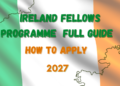 Ireland Fellows Programme 2027: Full Guide & How to Apply