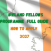 Ireland Fellows Programme 2027: Full Guide & How to Apply